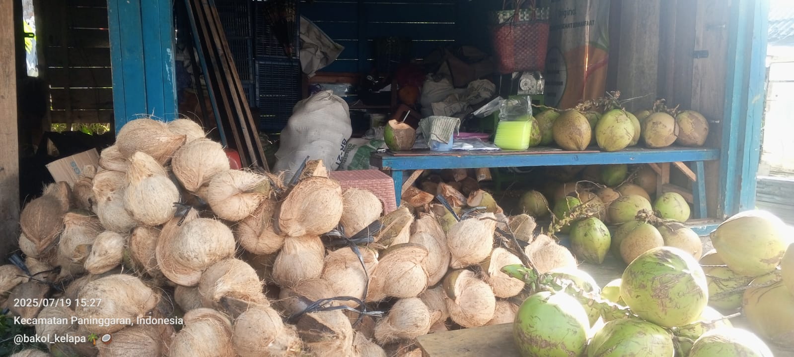 Premium mature coconuts and fresh coconut products arranged on wooden surface - Indonesian coconut export