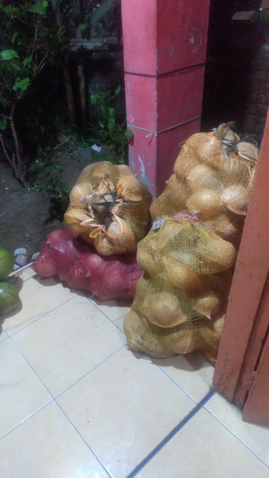 High-quality mature coconut showing brown husk and fresh white meat - export grade
